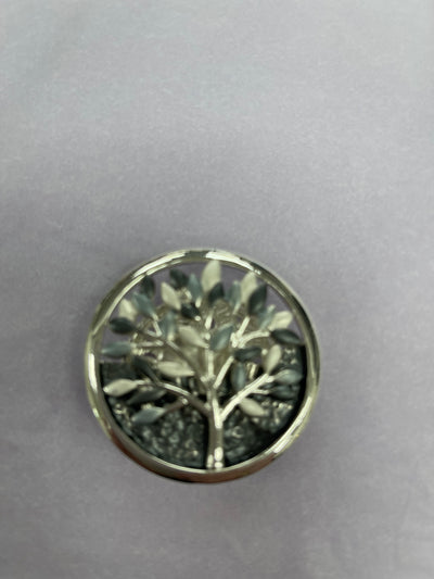 Magnetic Brooch