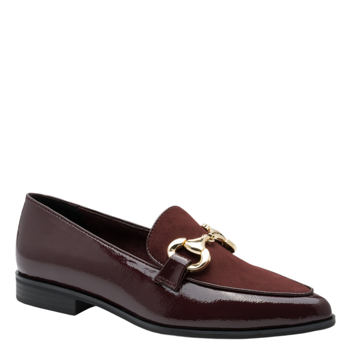 Brown loafer with gold buckle on a white background